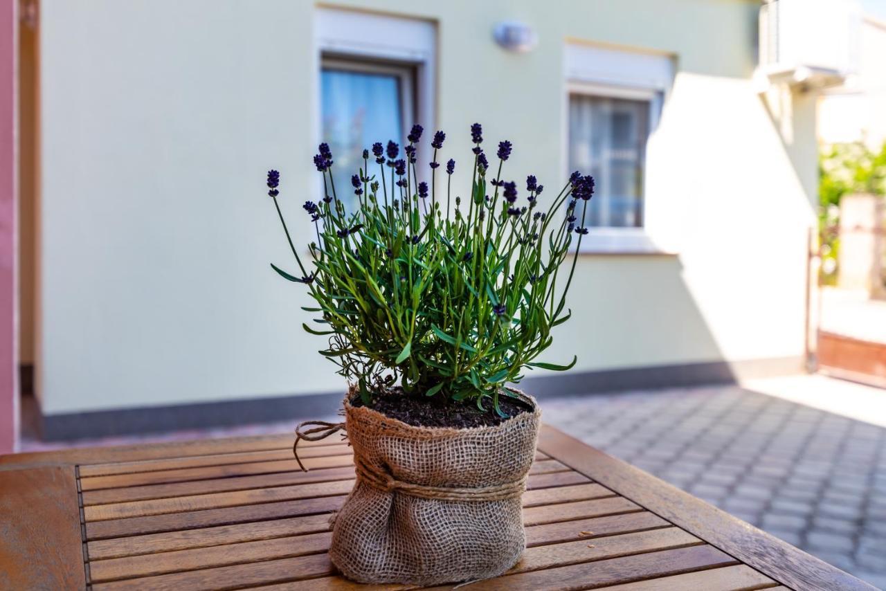 Studio Apartment Gina Zadar Buitenkant foto